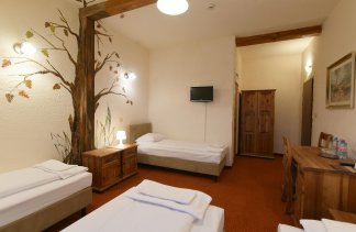 Obiekty szkoleniowe - Rancho Pod Bocianem - Pokoje - zdjęcie 7 