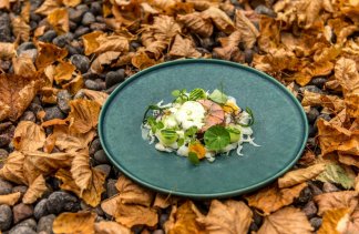 Hotele 4**** - Hotel NARVIL Conference & SPA - restaurant - zdjęcie 3 