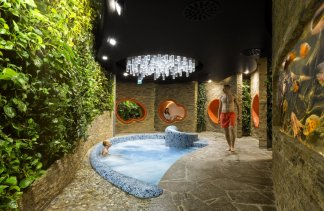 Hotele 4**** - Hotel NARVIL Conference & SPA - service - zdjęcie 1 