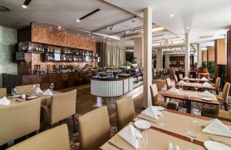 Hotele 4**** - Airport Hotel Okęcie - obiekt - zdjęcie 9 