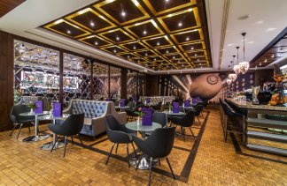 Hotele 4**** - Airport Hotel Okęcie - obiekt - zdjęcie 11 