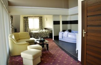 Hotele 3*** - Rubbens & Monet Centrum Hotelowo Konferencyjne - obiekt - zdjęcie 13 