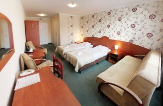 Hotele 3*** - Rubbens & Monet Centrum Hotelowo Konferencyjne - obiekt - zdjęcie 7 