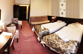 Hotele 3*** - Rubbens & Monet Centrum Hotelowo Konferencyjne - obiekt - zdjęcie 5 