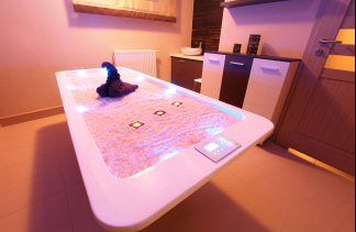 Hotele 3*** - Hotel Austeria*** Conference & SPA - service - zdjęcie 5 