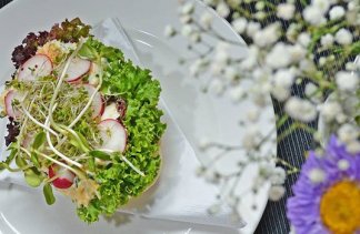 Obiekty konferencyjne - Centrum Biznesowe Synergia - obiekt - zdjęcie 19 