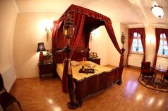 Pałace - Pałac Izbicko - zdjęcie 4