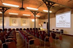 Pałace - Pałac Mierzęcin - zdjęcie 3