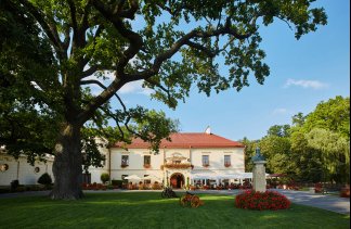 Zamki - Zamek Dubiecko - obiekt - zdjęcie 1 