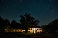 Zamki - Zamek Dubiecko - zdjęcie 3