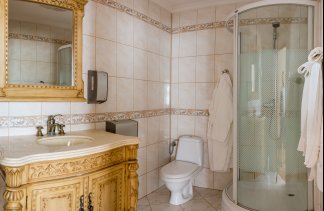 Zamki - Zamek Dubiecko - obiekt - zdjęcie 18 