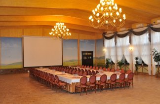 Zamki - Zamek Dubiecko - obiekt - zdjęcie 5 