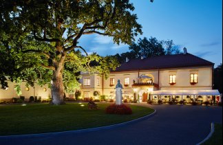 Zamki - Zamek Dubiecko - obiekt - zdjęcie 2 