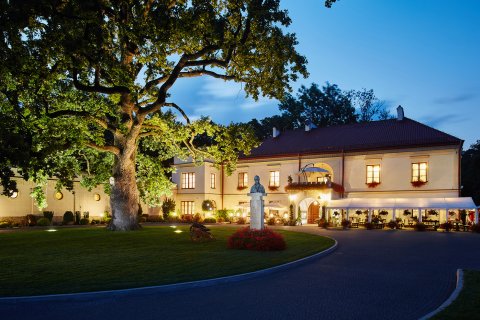 Zamki - Zamek Dubiecko - zdjęcie 2