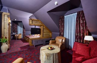 Hotele 4**** - Hotel Żubrówka Białowieża - Pokoje - zdjęcie 4 