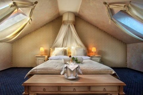 Hotele 3*** - Dwór Czarneckiego - zdjęcie 2