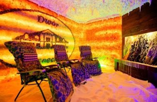 Hotele 3*** - Dwór Czarneckiego - obiekt - zdjęcie 6 