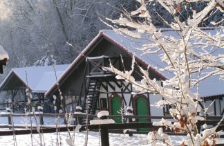 Ośrodki konferencyjne - Pięć Dębów - obiekt - zdjęcie 1 