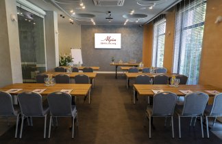 Hotele konferencyjne - Alpin - Hotel z klasą - obiekt - zdjęcie 11 