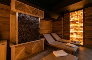 Hotele konferencyjne - Alpin - Hotel z klasą - service - zdjęcie 5 