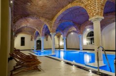 Pałace - Pałac Wiechlice - zdjęcie 4