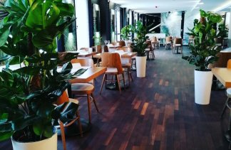 Hotele 3*** - Hotel Arena spa & wellness - restaurant - zdjęcie 1 