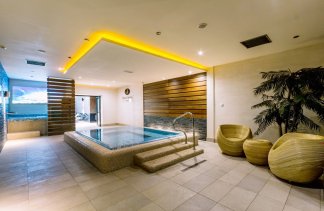 Hotele 3*** - Hotel Arena spa & wellness - service - zdjęcie 9 