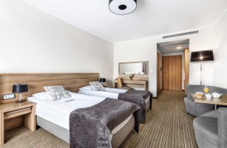 Hotele konferencyjne - Hotel Mercure Wiązowna Brant - Pokoje - zdjęcie 7 