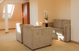 Hotele 4**** - Centrum Zdrowia i Wypoczynku Król Plaza SPA - Pokoje - zdjęcie 7 