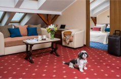 Hotele 5***** - Booking Hotel Crown Piast & Spa - zdjęcie 3