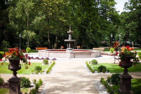 Pałace - Pałac Tłokinia - zdjęcie 2