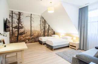 Hotele 4**** - Hotel Barczyzna Medical SPA**** - Pokoje - zdjęcie 3 