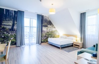 Hotele 4**** - Hotel Barczyzna Medical SPA**** - Pokoje - zdjęcie 4 