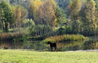 Ośrodki szkoleniowe - Tamarynowa Osada - obiekt - zdjęcie 7 