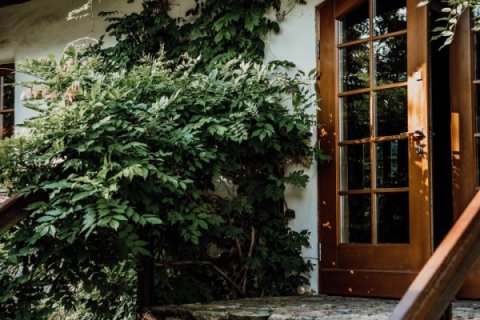 Hotele 4**** - HOT_elarnia**** HOTEL & SPA - zdjęcie 2