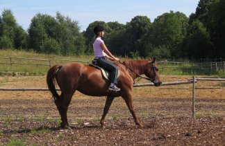 Ośrodki szkoleniowe - Kompleks Rekreacyjno-Sportowy "Dom nad Jeziorem" - service - zdjęcie 14 