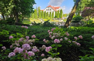 Hotele konferencyjne - Dworek Róża Poraja - obiekt - zdjęcie 15 