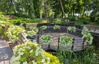 Hotele konferencyjne - Dworek Róża Poraja - obiekt - zdjęcie 22 