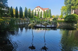 Hotele konferencyjne - Dworek Róża Poraja - obiekt - zdjęcie 18 