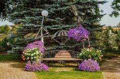 Hotele konferencyjne - Dworek Róża Poraja - zdjęcie 4