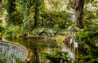 Hotele konferencyjne - Dworek Róża Poraja - obiekt - zdjęcie 6 