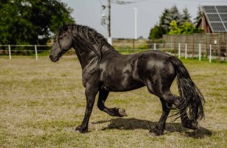 Hotele konferencyjne - Dworek Róża Poraja - service - zdjęcie 8 