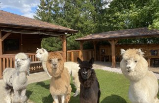 Hotele konferencyjne - Dworek Róża Poraja - service - zdjęcie 1 