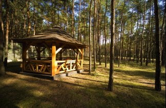 Hotele 3*** - Centrum Konferencyjno-Szkoleniowe BOSS*** - obiekt - zdjęcie 34 