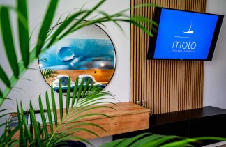 Centrum Konferencyjno-Wypoczynkowe - Centrum Konferencyjno Rekreacyjne MOLO - Pokoje - zdjęcie 12 