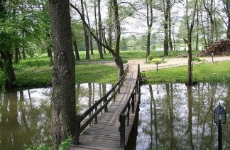 Ośrodki konferencyjne - Stary Młyn - obiekt - zdjęcie 6 