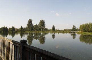 Ośrodki konferencyjne - Stary Młyn - obiekt - zdjęcie 5 