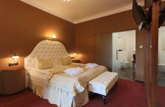 Hotele 4**** - Zamek Gniew - Pokoje - zdjęcie 12 