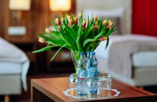 Hotele 4**** - Zamek Gniew - Pokoje - zdjęcie 11 