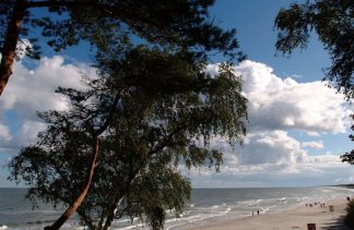 Hotele konferencyjne - Hotel Neptun - obiekt - zdjęcie 43 